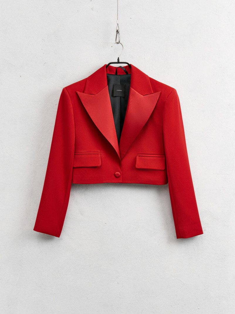 Blazer rouge ou marron