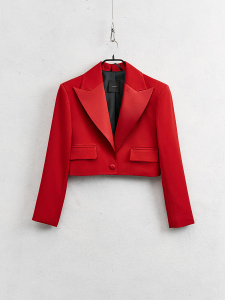 Blazer rouge ou marron