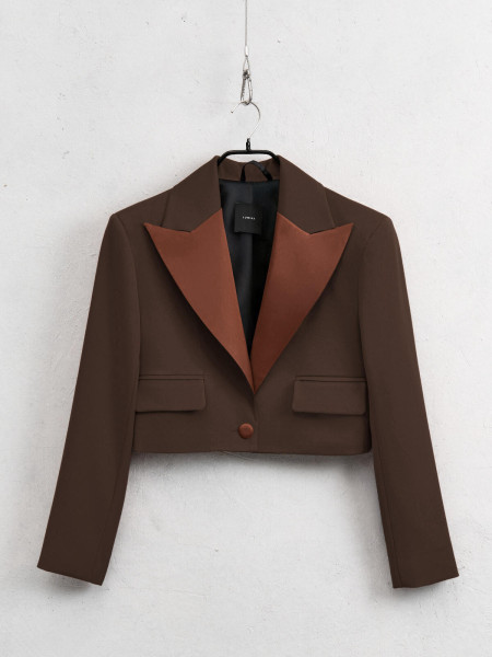 Blazer rouge ou marron