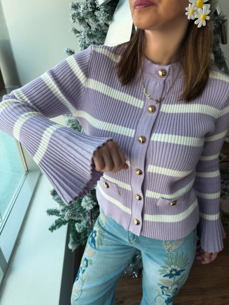 copy of Pull rayé violet