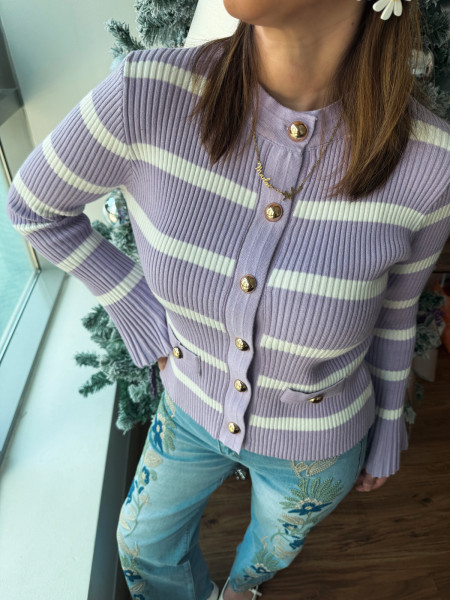 copy of Pull rayé violet