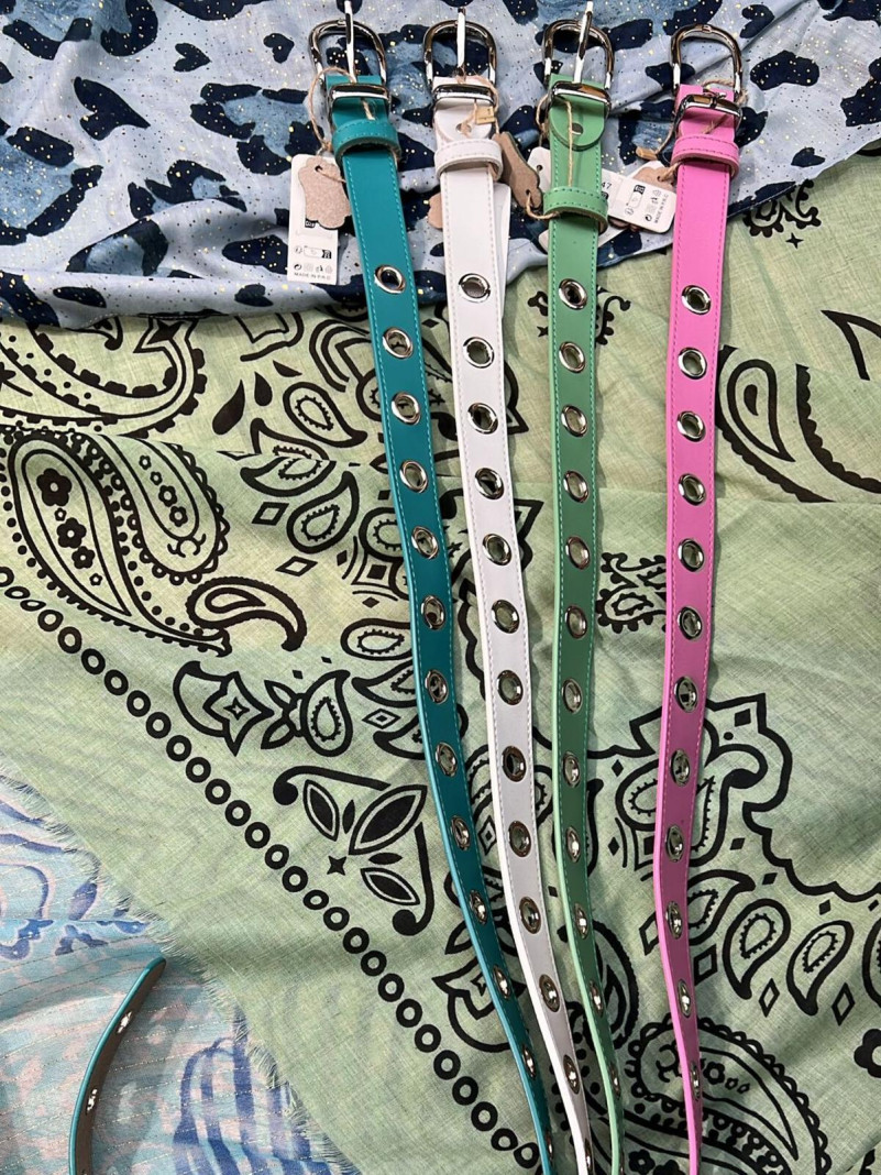 Ceinture Fine Pastel