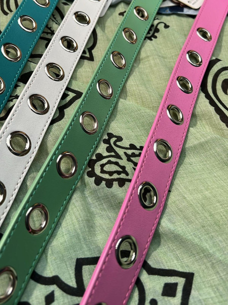 Ceinture Fine Pastel