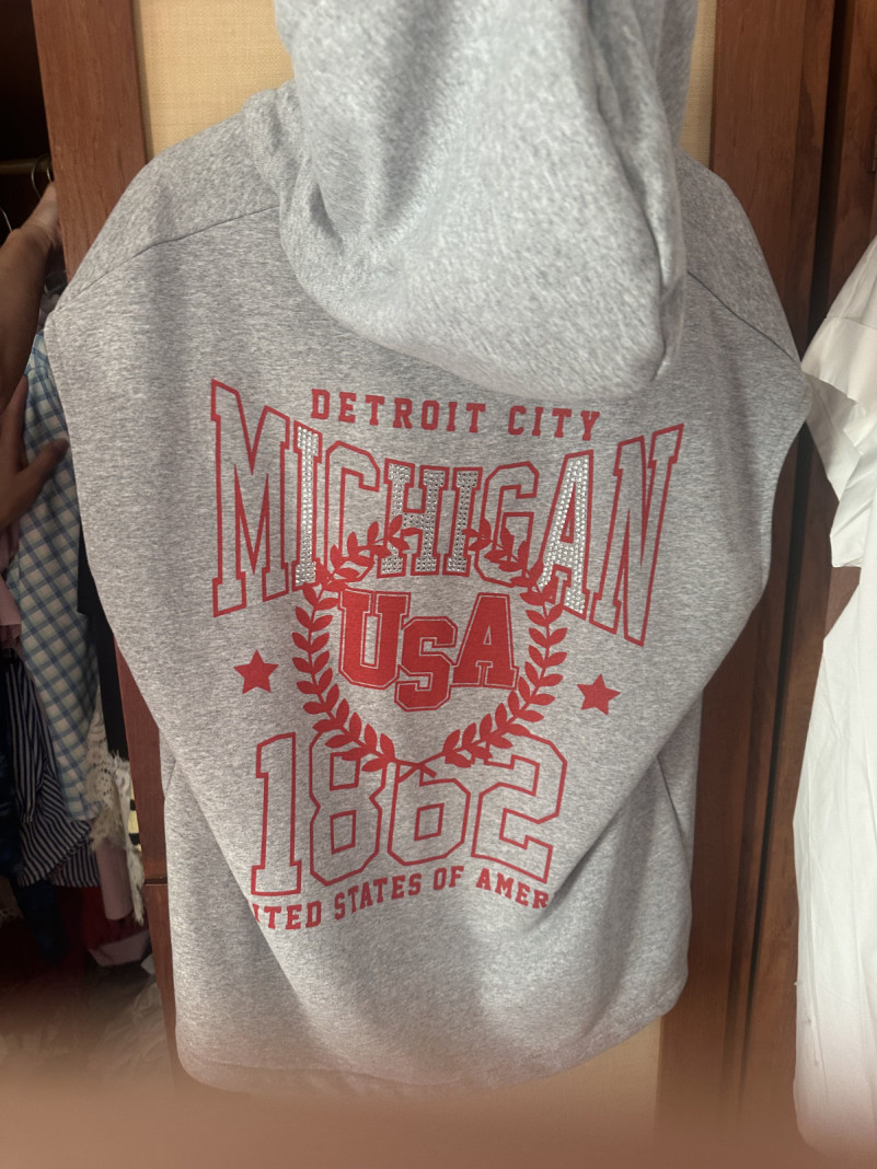 Gilet à Capuche Gris