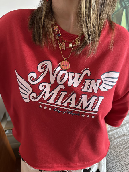 Sweat "Miami Beach" Vintage
